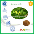 Best selling natural Agrimony Extract, Agrimonia eupatoria